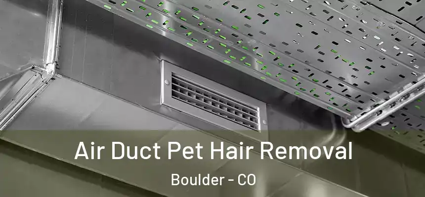 Air Duct Pet Hair Removal Boulder - CO