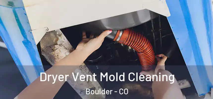 Dryer Vent Mold Cleaning Boulder - CO