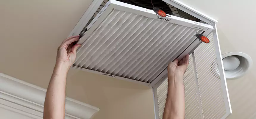 Preventive Cockroach-Proofing for Ducts in Boulder