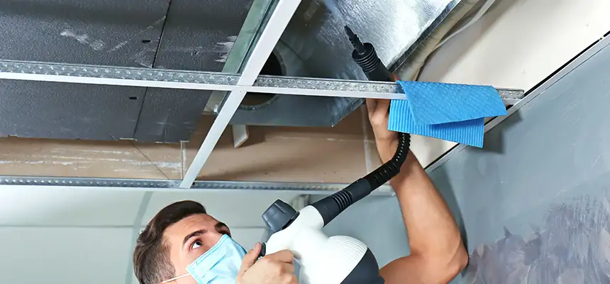 Our Air Duct Rodent Removal Services in Boulder, CO