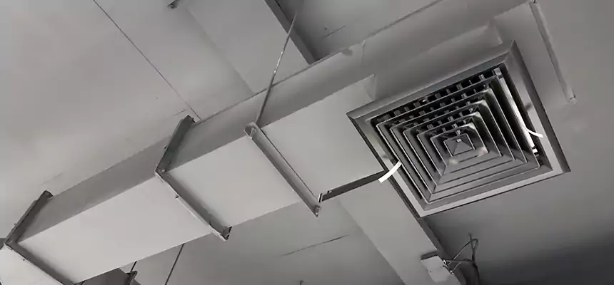 Our Rodent Droppings In Vents Services in Boulder, CO