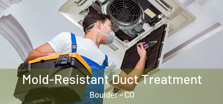 Mold-Resistant Duct Treatment Boulder - CO