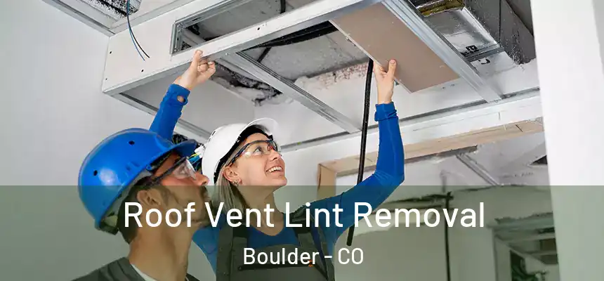  Roof Vent Lint Removal Boulder - CO