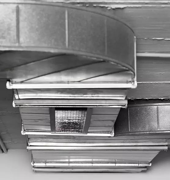 Professional Air Duct Pet Hair Removal in Boulder, CO