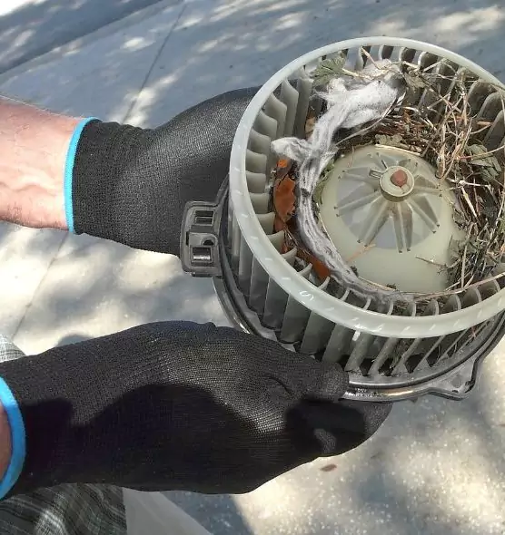 About Air Duct Rat Removal in Boulder, CO