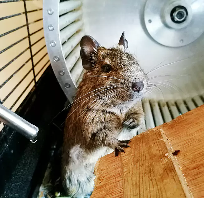 Why Homeowners & Businesses Trust Us Boulder, CO?