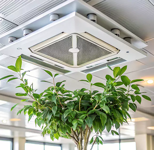 Why Homeowners & Businesses Trust Us in Boulder, CO?